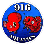 916-aquatics